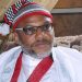 Nnamdi Kanu Apologizes for Attacks on Judge, Lawyers
