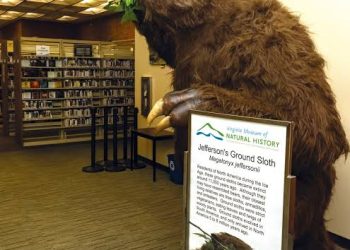 New Study Reveals Secrets of Ground Sloth Fur