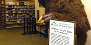 New Study Reveals Secrets of Ground Sloth Fur