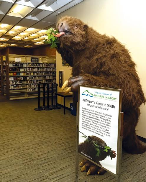 New Study Reveals Secrets of Ground Sloth Fur