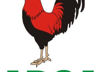 APGA Holds Anambra Primary Saturday