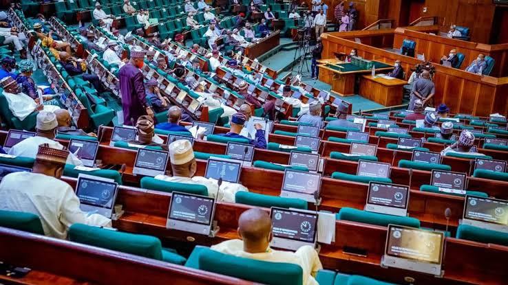 Compulsory Voting Bill Scales Second Reading in House of Reps