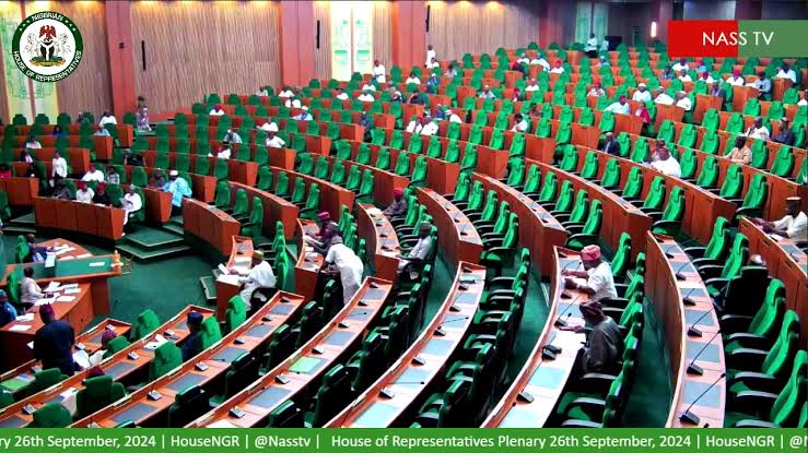 Nigeria-Benin Trade at Risk as Reps Condemn Border Blockade