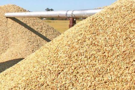 Nigeria’s Rice Industry Faces Collapse as Stakeholders Blame Import Waivers and Smuggling