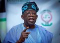 Benue Massacre: Tinubu Orders Arrest of Killer Herders, Urges Governor Alia to Form Peace Committee