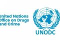 UNODC Raises Alarm as Over 3 Million Nigerians Battle Drug Use Disorders