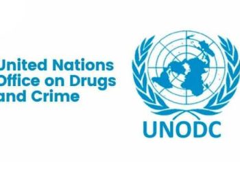 UNODC Raises Alarm as Over 3 Million Nigerians Battle Drug Use Disorders