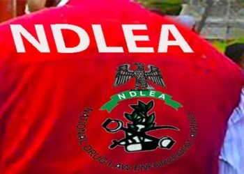 NDLEA, FAAN Set to Launch Anti-Drug Operations at Benin Airport to Tackle Smuggling Surge