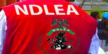 NDLEA, FAAN Set to Launch Anti-Drug Operations at Benin Airport to Tackle Smuggling Surge