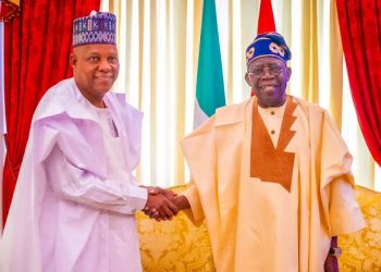 Don’t Distract Tinubu and Shettima, Arewa Group Warns Politicians