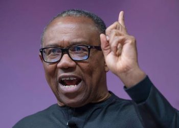 Peter Obi: I’ll honour one-term deal if coalition wants it