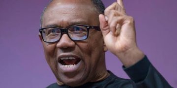 Peter Obi: I’ll honour one-term deal if coalition wants it