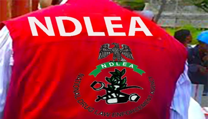NDLEA Busts ₦9.3bn Opioids at Onne Port