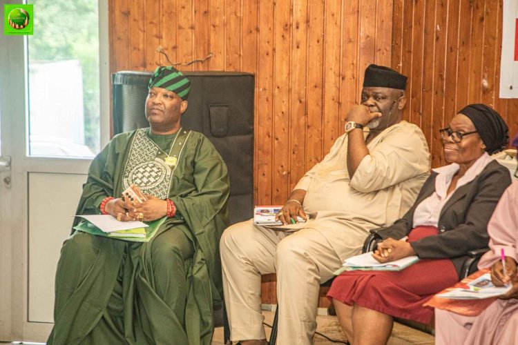 Building Collapse: Experts, Stakeholders Cry Out, Demand Urgent Reforms in Lagos