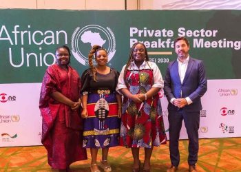 $100 Billion Investment Drive: African Union, GIZ, and Sterling One Foundation Mobilize Private Sector to Empower Women and Youth Across Africa