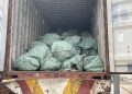 Customs Intercepts Container Filled With Donkey Genitals On Kaduna-Abuja Road