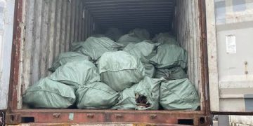 Customs Intercepts Container Filled With Donkey Genitals On Kaduna-Abuja Road