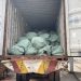 Customs Intercepts Container Filled With Donkey Genitals On Kaduna-Abuja Road