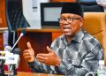 LP House of Reps Caucus Raises Alarm Over Threats to Peter Obi’s Life