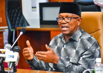 LP House of Reps Caucus Raises Alarm Over Threats to Peter Obi’s Life