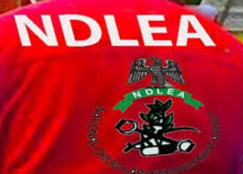 NDLEA Arrests Widow for Cocaine Smuggling Disguised as Fake Pregnancy