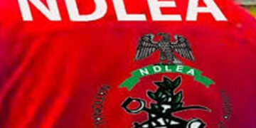 NDLEA Arrests Widow for Cocaine Smuggling Disguised as Fake Pregnancy