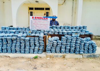 NDLEA Arrests Suspected Drug Barons, Seizes Large Consignments Nationwide