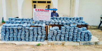 NDLEA Arrests Suspected Drug Barons, Seizes Large Consignments Nationwide