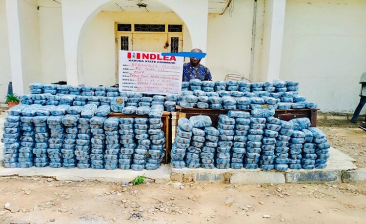 NDLEA Arrests Suspected Drug Barons, Seizes Large Consignments Nationwide