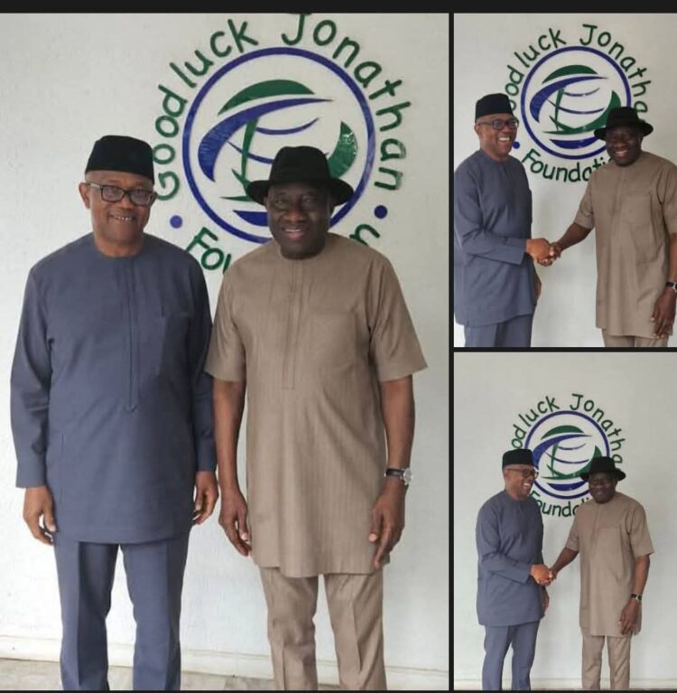 We Didn’t Urge Jonathan to Step Down for Peter Obi – Obidient Movement