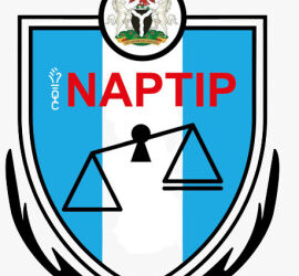 60-Year-Old Orphanage Founder, Others Arrested for Massive Child Trafficking and Illegal Adoptions