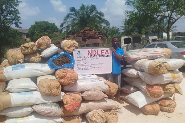 NDLEA Arrests Wanted Drug Kingpin, Seizes Massive Cannabis Shipments and Foreign Currency in Lagos