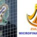 CBN Declares Zuldal Microfinance Bank Illegal, Says Firm Has No Licence