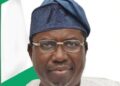 INEC Chair Says Technology Has Ended Voter Impersonation in Nigeria