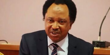 Shehu Sani Denies N1bn Bandit Payment Allegation Against Kaduna Government
