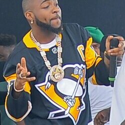 Davido Sets Lagos Ablaze at Flytime Fest 2025 with Electrifying Performance