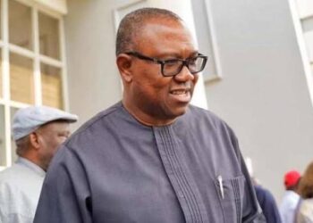 US Air Strike: Federal Government Must Apologise to Peter Obi – Coalition