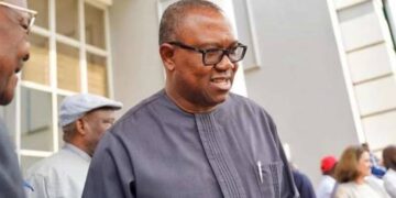 US Air Strike: Federal Government Must Apologise to Peter Obi – Coalition