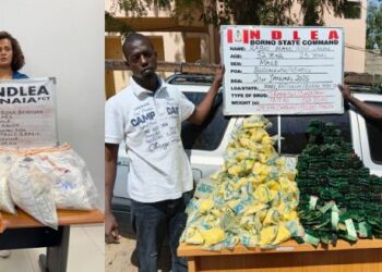 NDLEA Nabs Brazilian Woman With N3bn Worth of Heroin at Abuja Airport