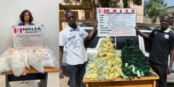 NDLEA Nabs Brazilian Woman With N3bn Worth of Heroin at Abuja Airport