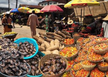 UN warns of looming hunger catastrophe in Nigeria as food aid funds run out
