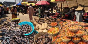 UN warns of looming hunger catastrophe in Nigeria as food aid funds run out