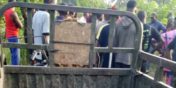 More Than 100 Gunmen Armed with AK-47s Attacked Benue Community – Witness