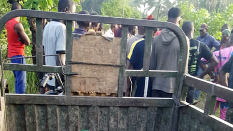 More Than 100 Gunmen Armed with AK-47s Attacked Benue Community – Witness