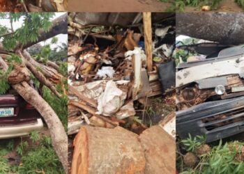 Police Verify Enugu Crash, 11 Passengers Dead