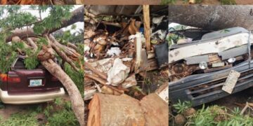 Police Verify Enugu Crash, 11 Passengers Dead