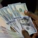 Naira Gains to N1,348/$ After CBN Allows BDC Access to Official Window