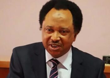 Shehu Sani Demands Comprehensive Probe of El-Rufai’s Kaduna Administration
