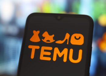 FG Opens Probe into Temu Over Data Privacy Concerns