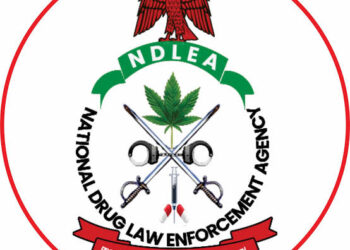 Woman Fakes Pregnancy, Nabbed by NDLEA With 3,200 Tramadol Capsules